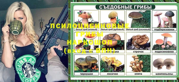 амф Белокуриха