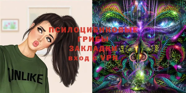 амф Белокуриха