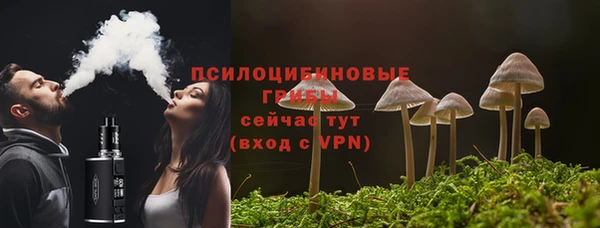 амф Белокуриха