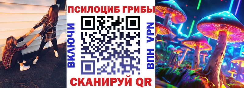 купить  цена  Короча  Псилоцибиновые грибы мицелий 